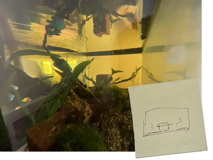 surrounding iterations of a water box